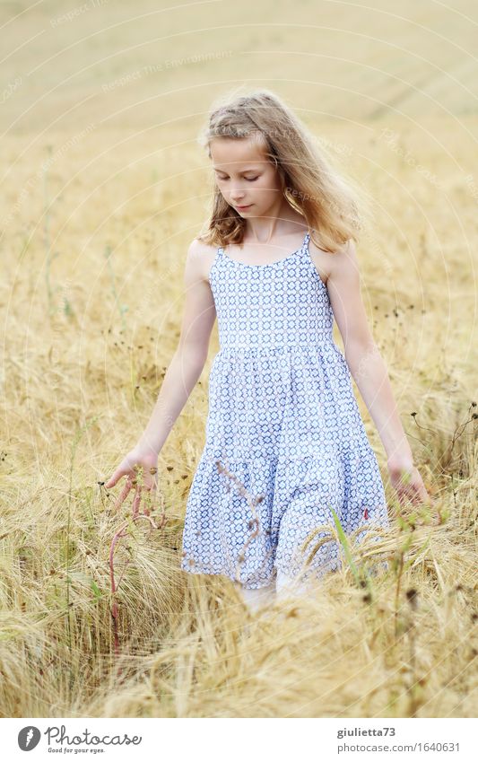 Summer Feeling Leisure and hobbies Feminine Child Girl Infancy 1 Human being 8 - 13 years Field Dress Blonde Long-haired Touch Think Going Dream Beautiful