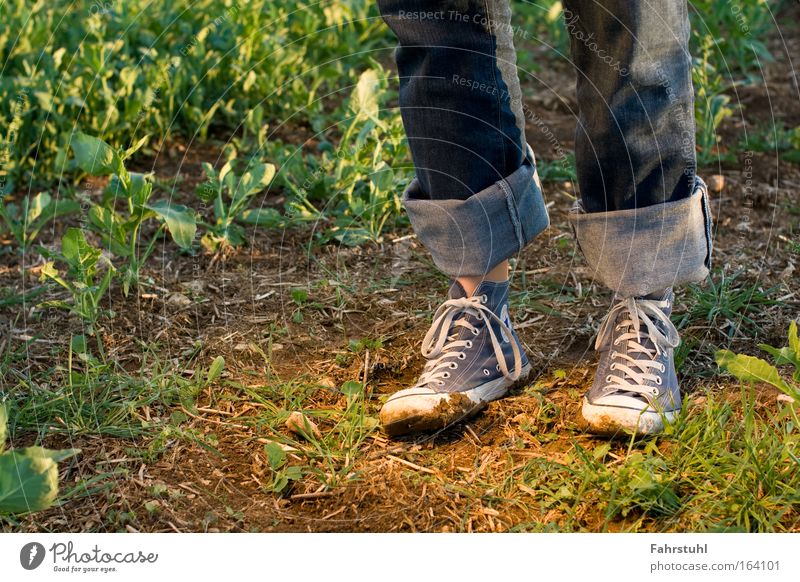 Chucks are made for any terrain! Colour photo Exterior shot Copy Space left Evening Deep depth of field Footwear Hiking Joy Nature