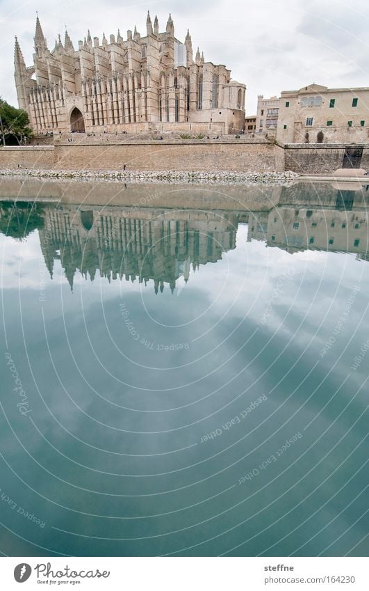 Palma without palms Colour photo Subdued colour Exterior shot Deserted Copy Space bottom Day Wide angle Water Water ditch Castle moat Majorca Spain Capital city