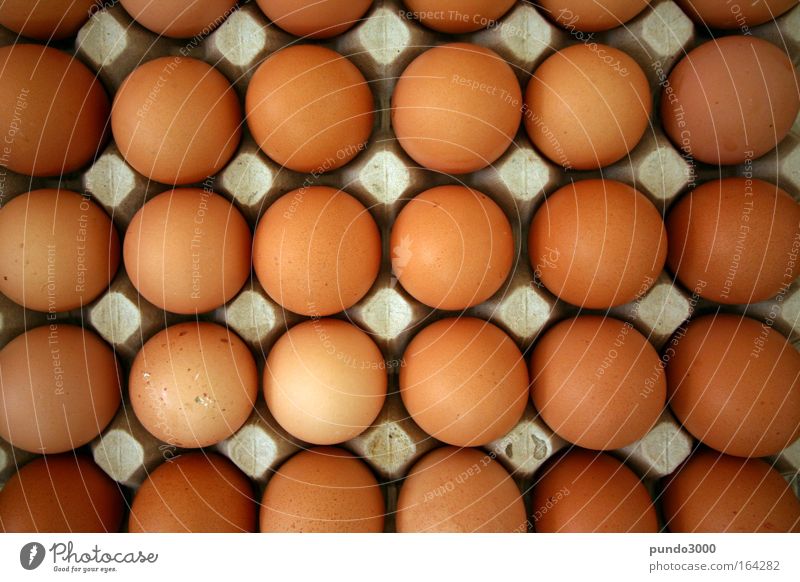 Eggs from above Colour photo Close-up Deserted Copy Space left Copy Space right Copy Space top Copy Space bottom Copy Space middle Bird's-eye view Food