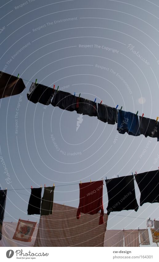 washing day Colour photo Exterior shot Detail Day Sunlight Deep depth of field Worm's-eye view Decoration Clothing T-shirt Underwear Fragrance Hang