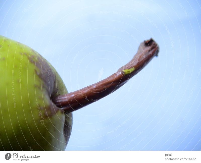 Stem of a pear Fruit Wood Blue Brown Stalk Curved Greeny-yellow Background picture Pear grooved Colour photo Exterior shot Detail Macro (Extreme close-up)