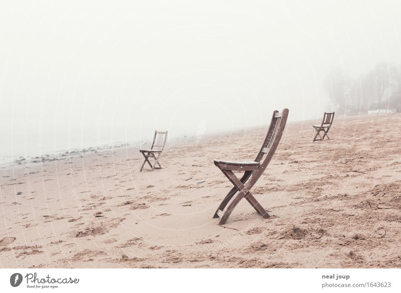 Elbe bank - deluxe Sand Spring Autumn Fog River bank Beach Hamburg Chair Wood Sit Wait Brown Gray Patient Calm Wanderlust Loneliness Expectation Esthetic