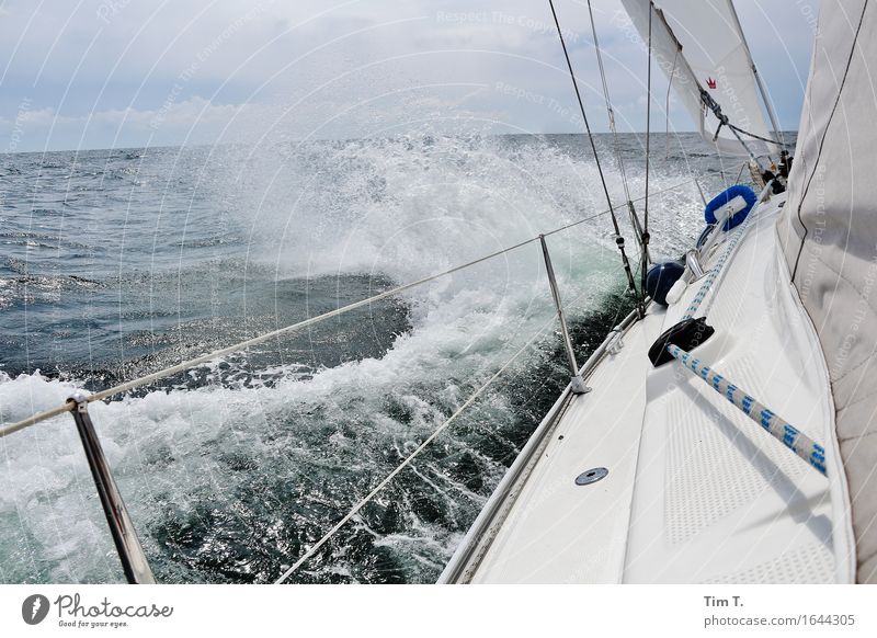 wind Lifestyle Vacation & Travel Adventure Far-off places Freedom Ocean Waves Environment Nature Water Baltic Sea Sailing Sailboat Sailing ship Colour photo