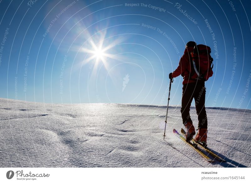 Ski mountaineer walks up hill on a glacier. Vacation & Travel Tourism Trip Adventure Expedition Sun Winter Snow Mountain Hiking Sports Skiing Human being Man