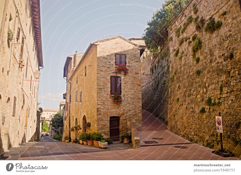 In the alleys of San Gimignano Summer Beautiful weather Warmth Village Small Town Downtown Deserted House (Residential Structure) Dream house Hut