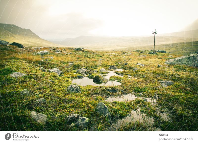 Tundra III Vacation & Travel Adventure Landscape Bad weather Rain Bushes Bog Marsh Signs and labeling Wet Sadness Concern Pain Longing Wanderlust Loneliness