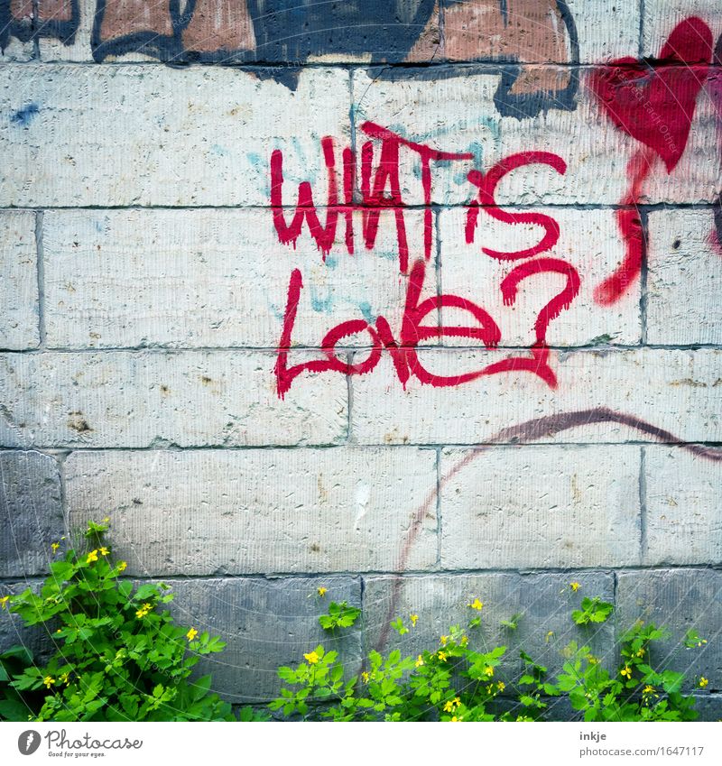 Love is... Lifestyle Deserted Wall (barrier) Wall (building) Sign Characters Graffiti Heart Question mark Red Infatuation Romance Ask Meaning Bright background