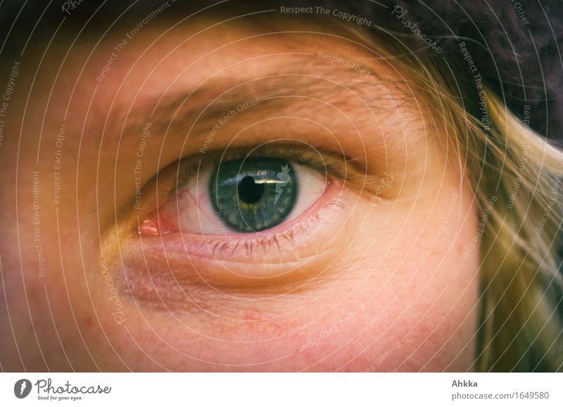instant Human being Feminine Eyes Blue Snapshot Looking Exterior shot Close-up Looking into the camera