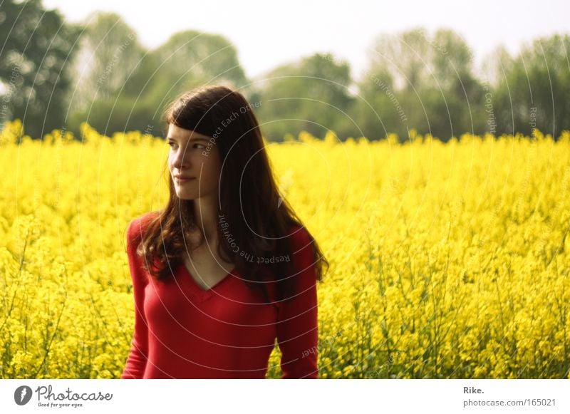 Spring girl. Colour photo Exterior shot Portrait photograph Upper body Looking away Human being Feminine Young woman Youth (Young adults) Woman Adults 1