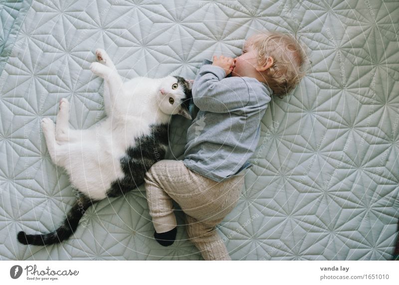 Best Friends Human being Child Baby Toddler Infancy 1 1 - 3 years Animal Pet Cat Trust Safety (feeling of) Friendship Together Love of animals Relationship