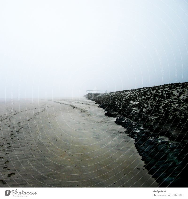 boundless Colour photo Subdued colour Exterior shot Deserted Copy Space left Copy Space top Morning Dawn Long shot Relaxation Calm Far-off places Beach Sand