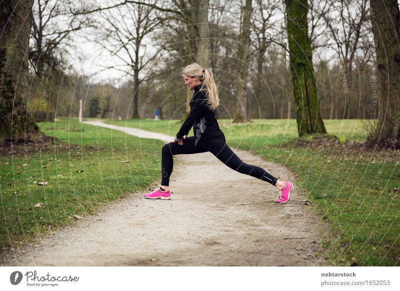 attarcive woman stretching in park Lifestyle Body Wellness Winter Sports Human being Woman Adults Tree Park Lanes & trails Fitness Athletic Practice healthy