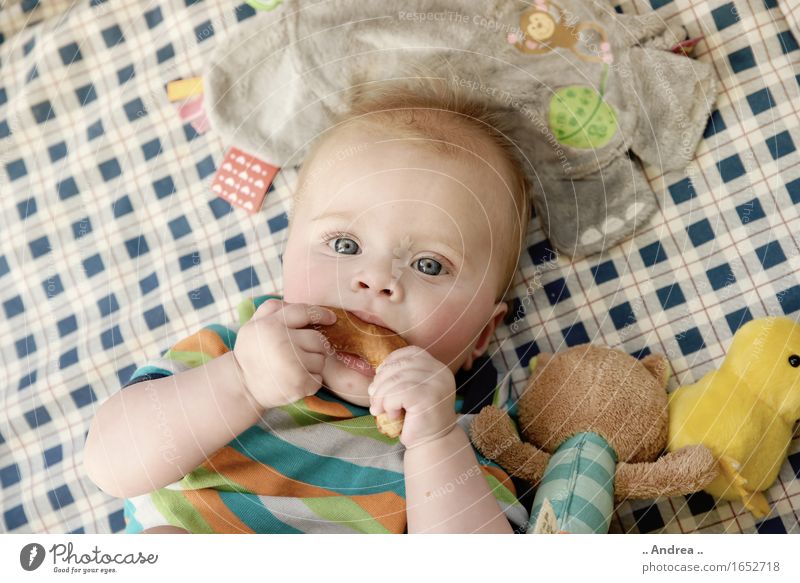 Pretzel tastes good Feminine Child Baby Toddler Girl Infancy 1 Human being 0 - 12 months Eating first meal Gnaw Looking into the camera blue eyes Lie