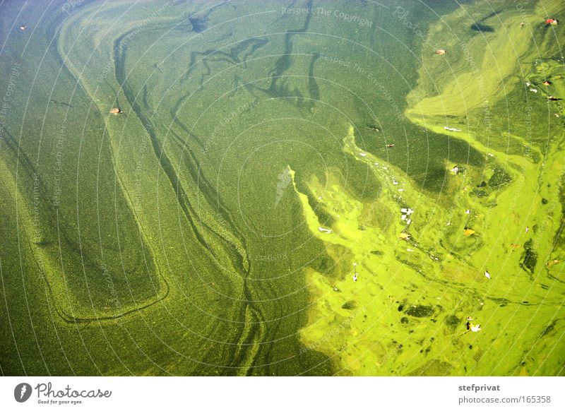 bathing fun Colour photo Exterior shot Abstract Structures and shapes Deserted Copy Space left Copy Space top Copy Space bottom Day Summer Nature Water