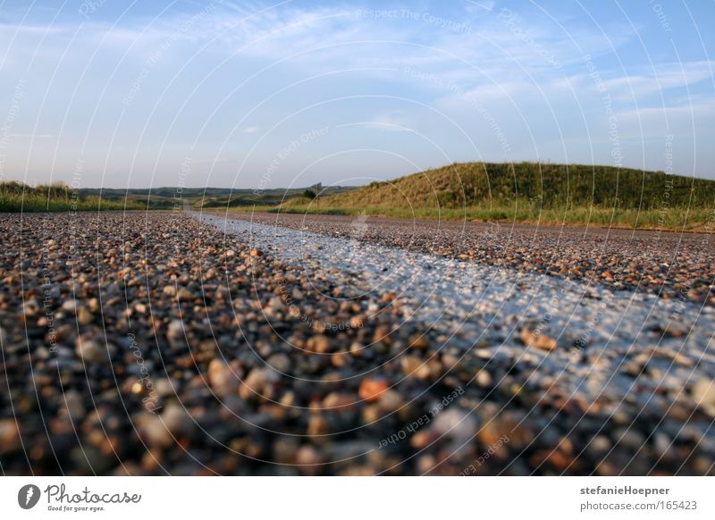 Somewhere in the middle of nowhere! Colour photo Exterior shot Copy Space top Copy Space bottom Evening Worm's-eye view Trip Far-off places Freedom Nature Sky