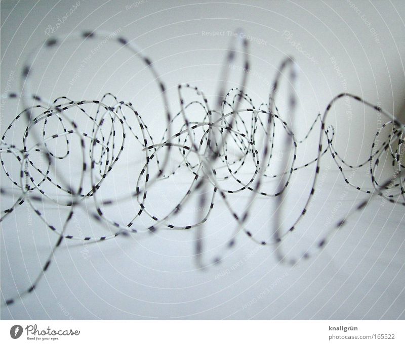 wiry Black & white photo Interior shot Close-up Deserted Copy Space bottom Neutral Background Day Deep depth of field Central perspective Wire telephone wire