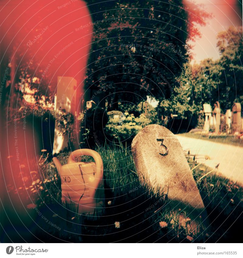 3 Garden Park Digits and numbers Bright Dream Cemetery Watering can Stone Grass Holga Patch Shaft of light Lomography Exceptional Flower Multicoloured