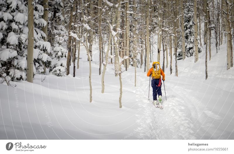 Skier in the aspen trees Athletic Fitness Vacation & Travel Adventure Winter Snow Mountain Sports Climbing Mountaineering Skiing Human being Masculine Man