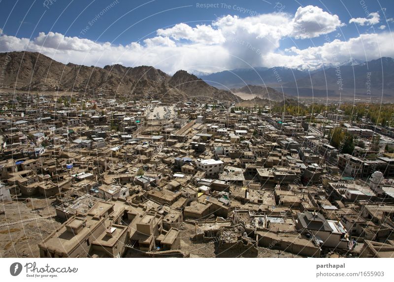 Leh City from Top India Asia Town Capital city Skyline House (Residential Structure) Building Architecture Peaceful Calm Adventure Colour photo Exterior shot
