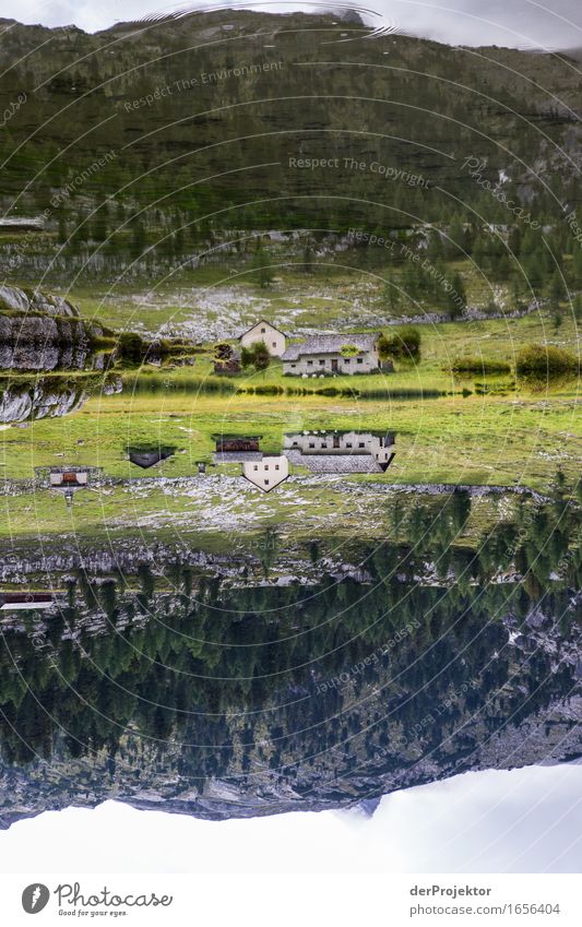 Reflection of a mountain pasture in the Dolomites Central perspective Deep depth of field Sunbeam Sunlight Light (Natural Phenomenon) Silhouette Contrast Shadow