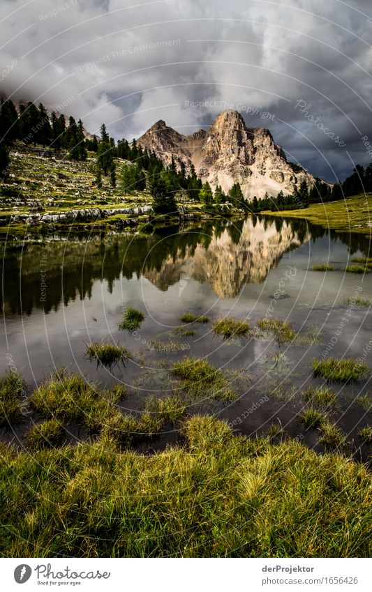 Mountain in a reflection on a mountain pasture in the Dolomites Vacation & Travel Tourism Trip Adventure Far-off places Freedom Hiking Environment Nature