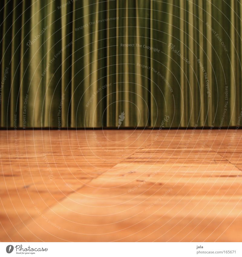curiosity Colour photo Interior shot Detail Copy Space bottom Artificial light Worm's-eye view Drape Parquet floor Wood Brown Green Floor covering Theatre Stage