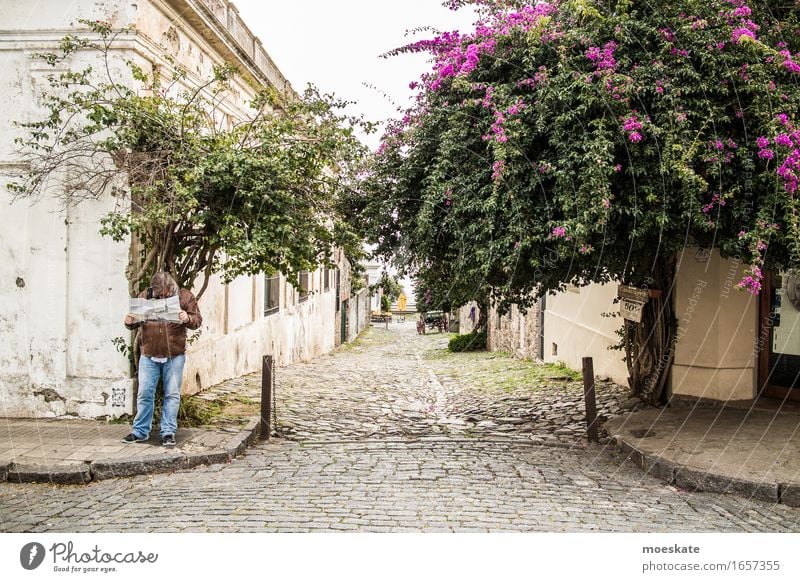 Colonia Del Sacramento, Uruguay Downtown Old town Gray Paving stone Map Orientation Disorientated Vacation & Travel Colour photo Subdued colour Exterior shot