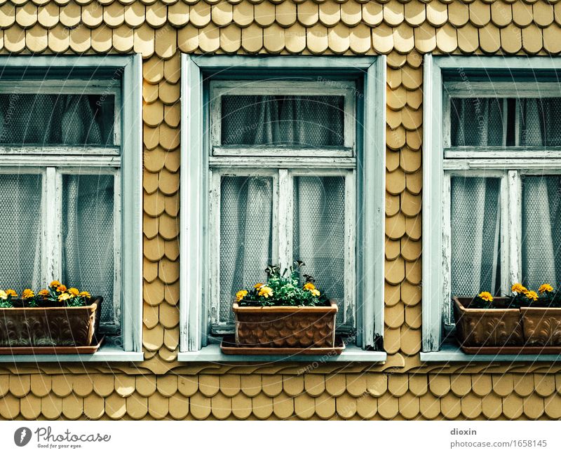 AST 9 | ] [] [ Flower Village Small Town House (Residential Structure) Facade Window Roofing tile Window box Beautiful Arrangement Staid Colour photo
