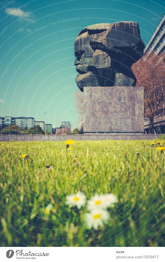 profile picture Environment Nature Spring Flower Blossom Meadow Town Downtown Places Manmade structures Architecture Tourist Attraction Landmark Monument Green