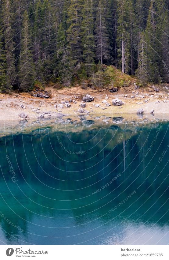 Karersee in the Dolomites Vacation & Travel Nature Landscape Elements Earth Water Summer Tree Forest Mountain Lakeside karersee South Tyrol Stone Illuminate