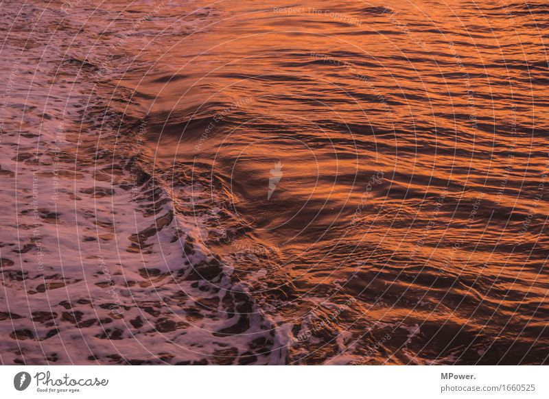 wave Environment Nature Water Beautiful weather Bad weather Wind Baltic Sea Footbridge Dusk Glow Waves Ocean Coast Wood Red Orange Loneliness Calm Relaxation