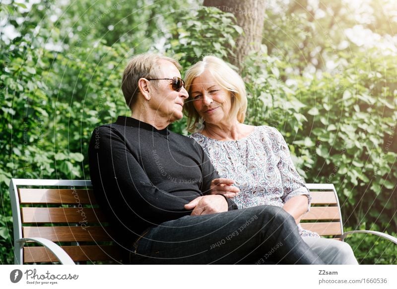 Pensioner couple sitting on a bench Lifestyle Female senior Woman Male senior Man 60 years and older Senior citizen Nature Landscape Summer Beautiful weather