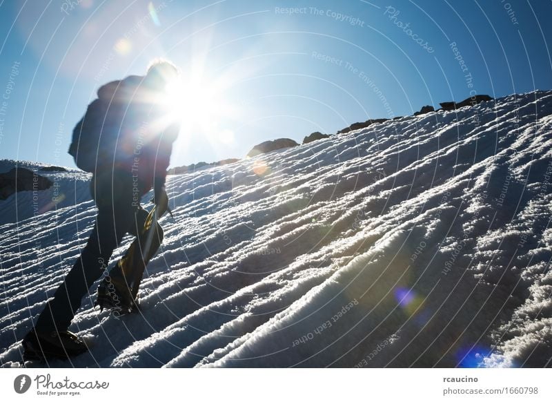 Mountain climber climbing a snowy ridge Adventure Expedition Winter Snow Hiking Sports Climbing Mountaineering Success Man Adults Nature Landscape Alps Peak