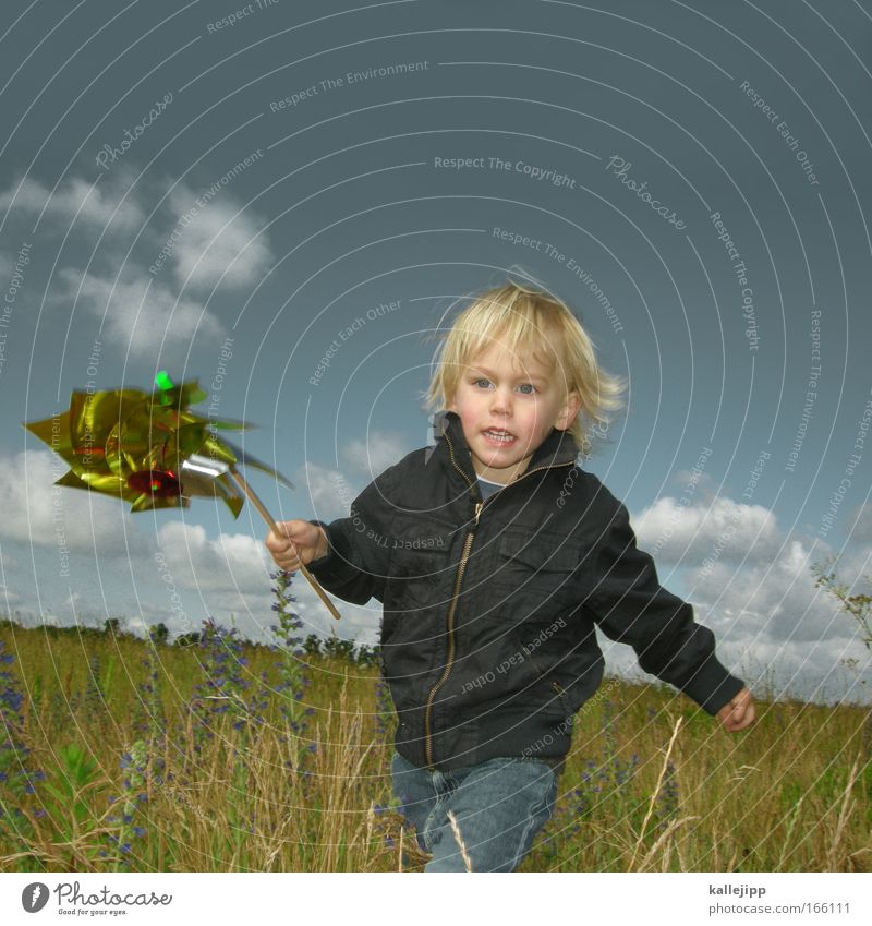 wind power Forward Leisure and hobbies Playing Children's game Toddler Boy (child) Face Hand 1 Human being Environment Nature Landscape Plant Animal Sky Spring