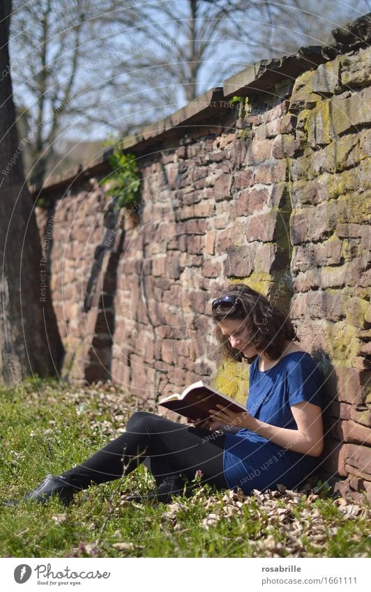 Time in the sunshine - brunette young woman sits in her spare time on a meadow leaning against a sandstone wall and reads the Bible Joy Contentment Relaxation