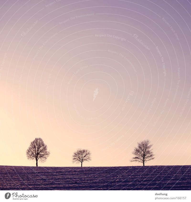 Three Colour photo Exterior shot Deserted Copy Space top Neutral Background Evening Twilight Contrast Silhouette Sunrise Sunset Deep depth of field