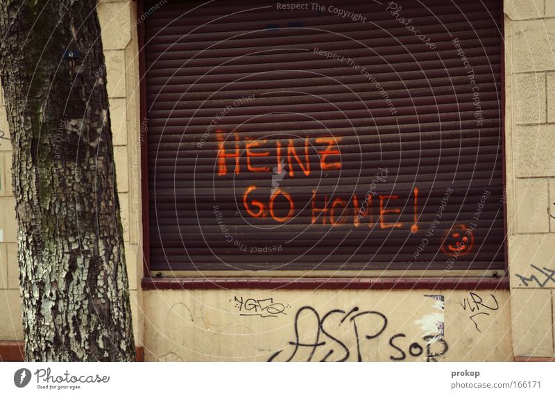 Heinz. Colour photo Exterior shot Deserted Copy Space top Day Deep depth of field Long shot Tree Town House (Residential Structure) Wall (barrier)