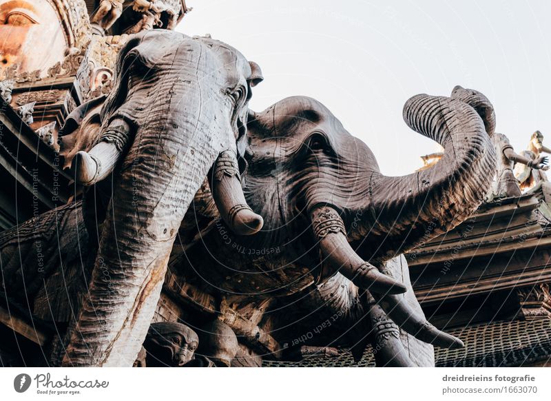 Elephant temple. Manmade structures Temple Tourist Attraction Wood Exceptional Trust Safety Protection Safety (feeling of) Sympathy Peaceful Dedication