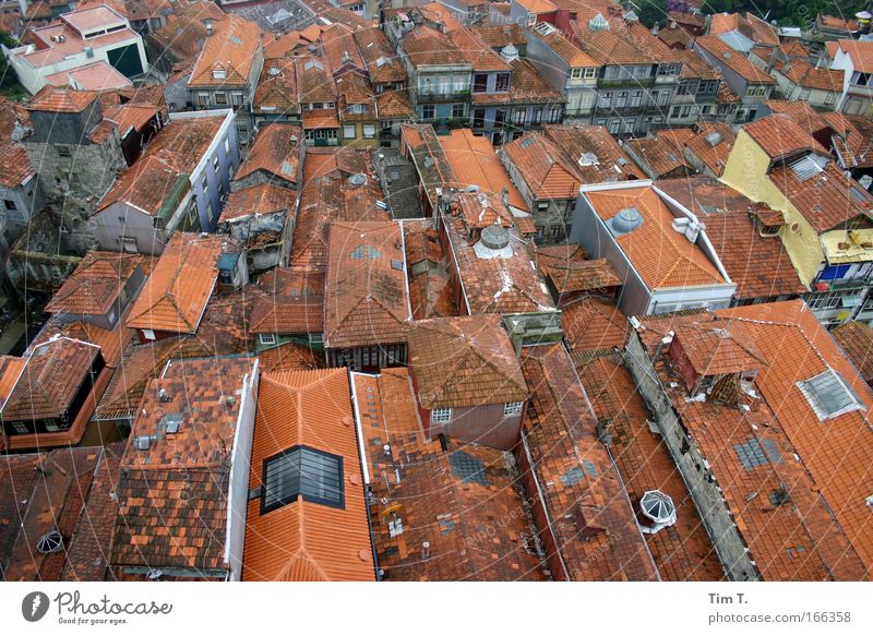 Portos Roofs Colour photo Exterior shot Aerial photograph Deserted Day Bird's-eye view Vacation & Travel Sightseeing City trip House (Residential Structure)