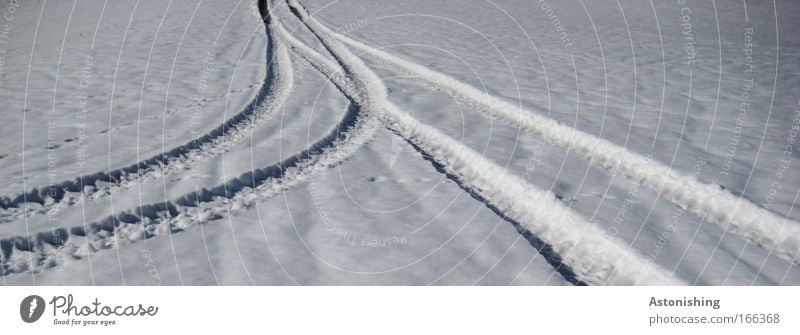 a nice get-together Environment Nature Landscape Winter Climate Weather Ice Frost Snow Lanes & trails Road junction Cold Wet White Encounter Tracks Date