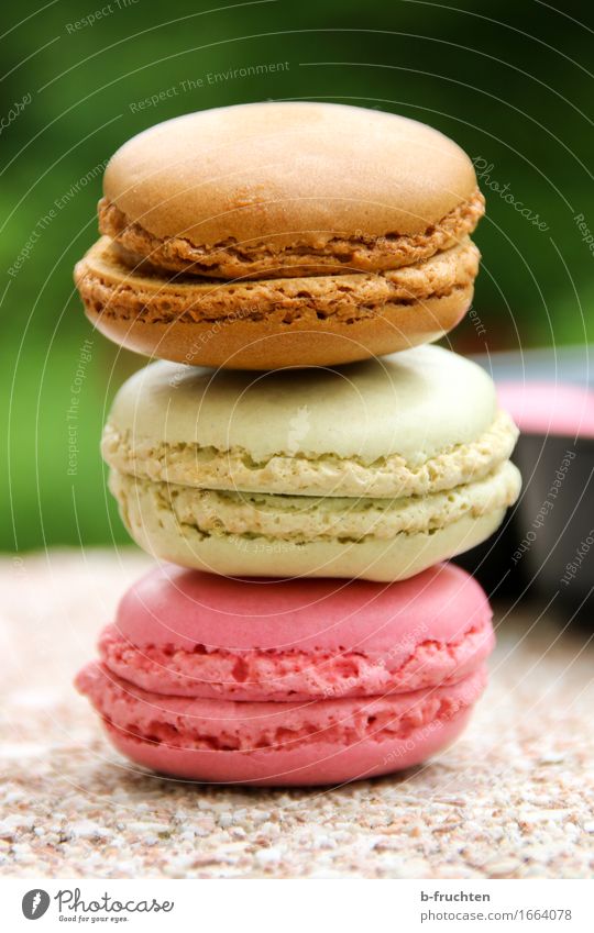 Three colorful macarons stacked Food Candy Stone Brown Multicoloured Green Violet Sweet Stack Macaron Baked goods Cookie Alluring Colour photo Exterior shot