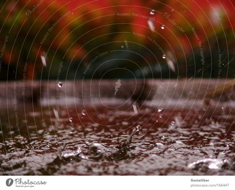 water feature Water Drops of water Brown Red Sadness Esthetic Movement Uniqueness Pure Surface structure Colour photo Exterior shot Detail