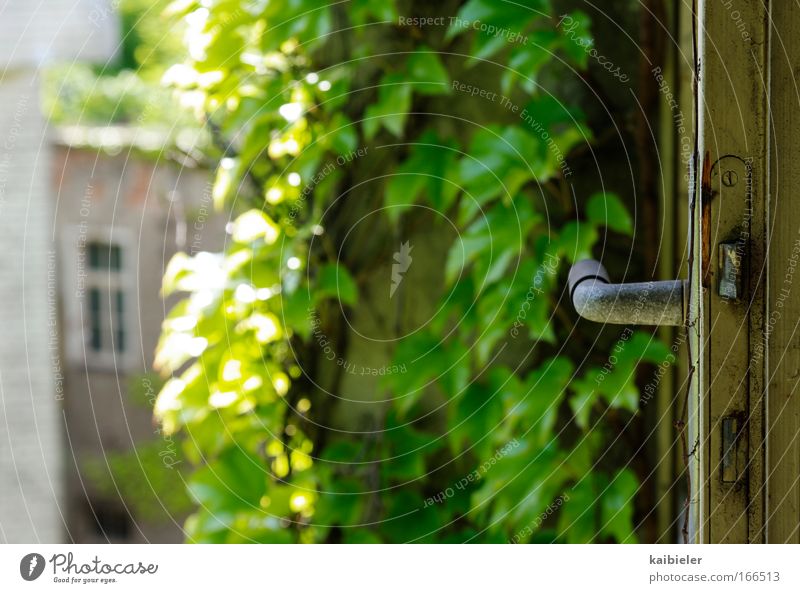 Living in the countryside Colour photo Exterior shot Deserted Copy Space left Contrast Sunlight Shallow depth of field Living or residing Flat (apartment) Door