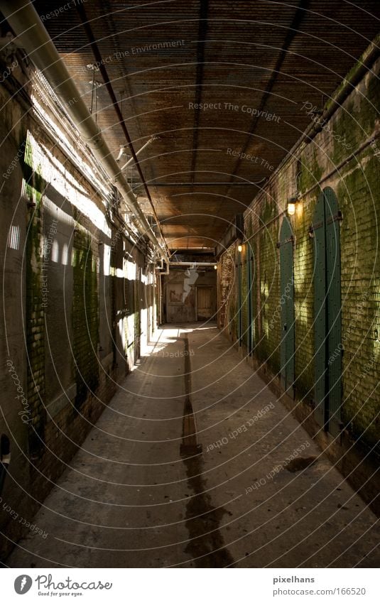 try to build a prison Room Factory Deserted Gate Manmade structures Wall (barrier) Wall (building) Door Wood Brick Old Colour photo Interior shot Light Shadow