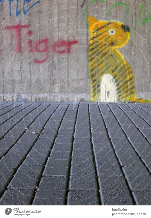 tiger Colour photo Exterior shot Deserted Copy Space bottom Day Graffiti Wall (barrier) Wall (building) Stone Concrete Characters Blue Yellow Gray Red Black