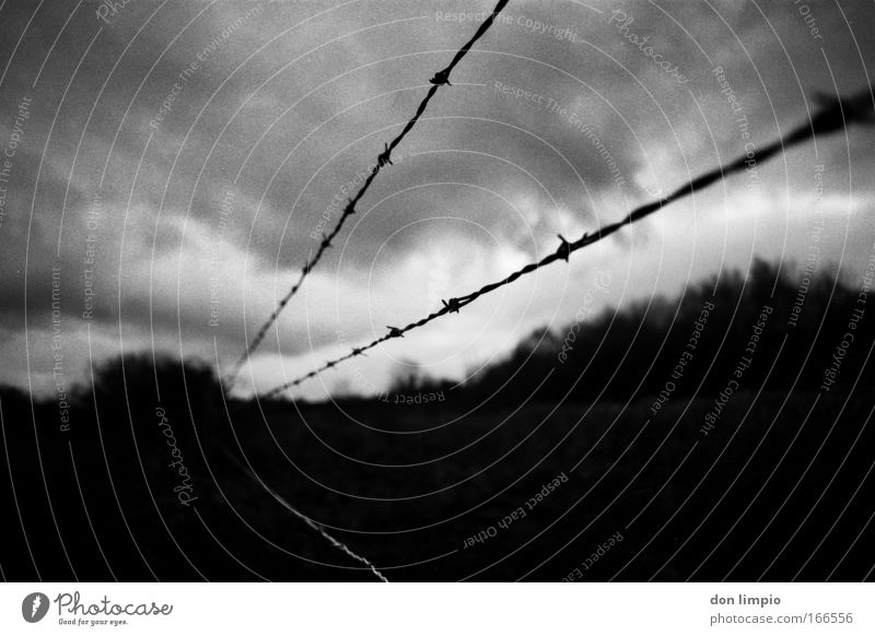Cursed land Black & white photo Exterior shot Detail Twilight Contrast Shallow depth of field Central perspective Wide angle Environment Clouds Storm clouds