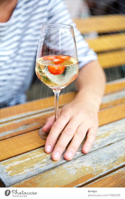 time-out Strawberry Beverage Alcoholic drinks Wine Punch Wine glass Lifestyle Well-being Relaxation Garden table Lounge Drinking Feminine Woman Adults Arm Hand
