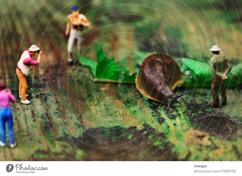 Miniwelten - Visit to Zoo II Tourism Trip Adventure Safari Expedition Masculine Feminine Woman Adults Man 4 Human being Leaf Snail 1 Animal Brown Multicoloured