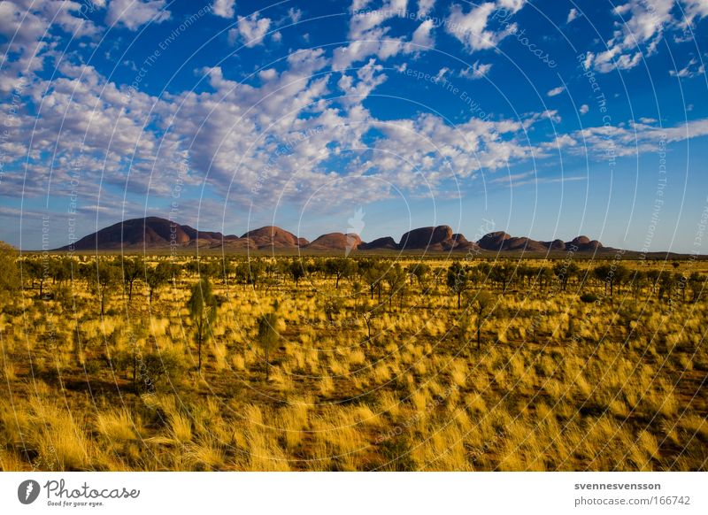 Kata Tjuta Colour photo Exterior shot Deserted Copy Space left Copy Space right Copy Space top Copy Space bottom Copy Space middle Day Panorama (View)
